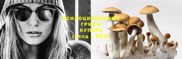 ешки Богородицк