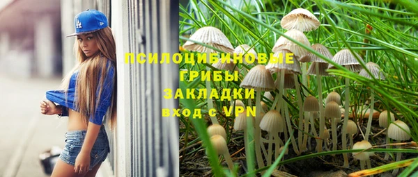 2c-b Богданович