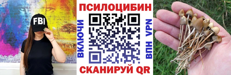 Галлюциногенные грибы ЛСД  Короча 